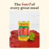Version 1.0.0 Cento Tomato Paste, 6 oz Canned Fresh Rich Thick Paste
