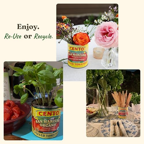 Version 1.0.0 Cento Tomato Paste, 6 oz Canned Fresh Rich Thick Paste
